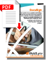 PDF_Thumbnail_Dwnld_DocuSign_sml
