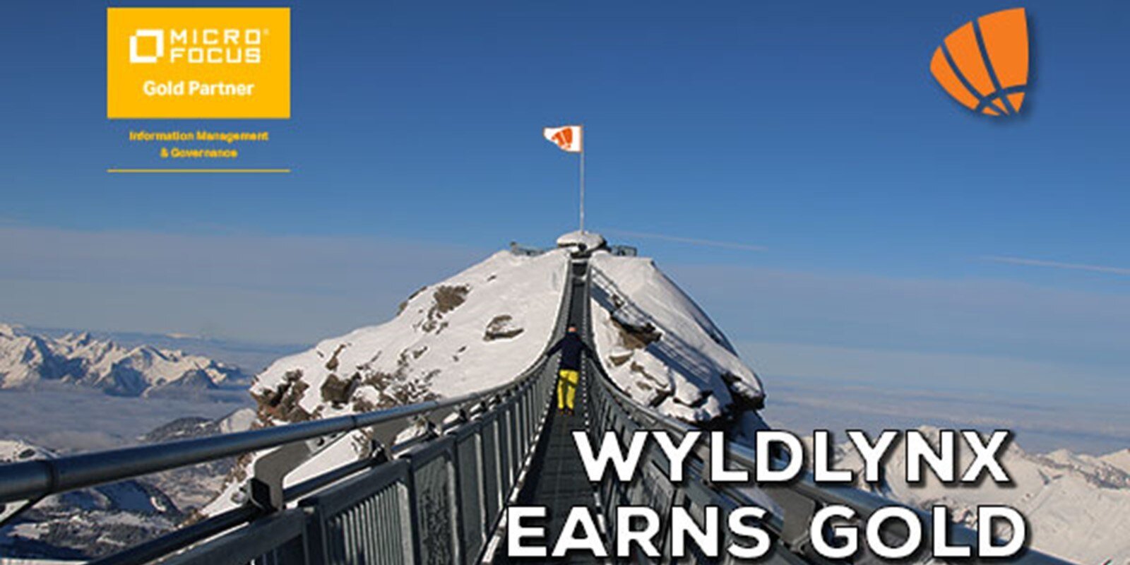 WyldLynx Earns Gold